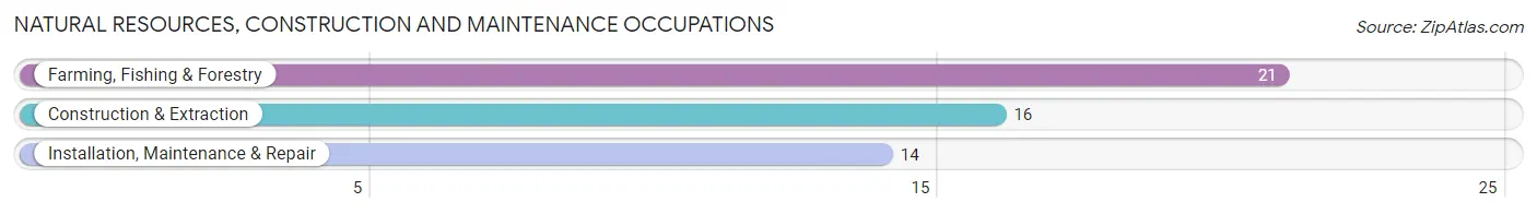 Natural Resources, Construction and Maintenance Occupations in Evansville