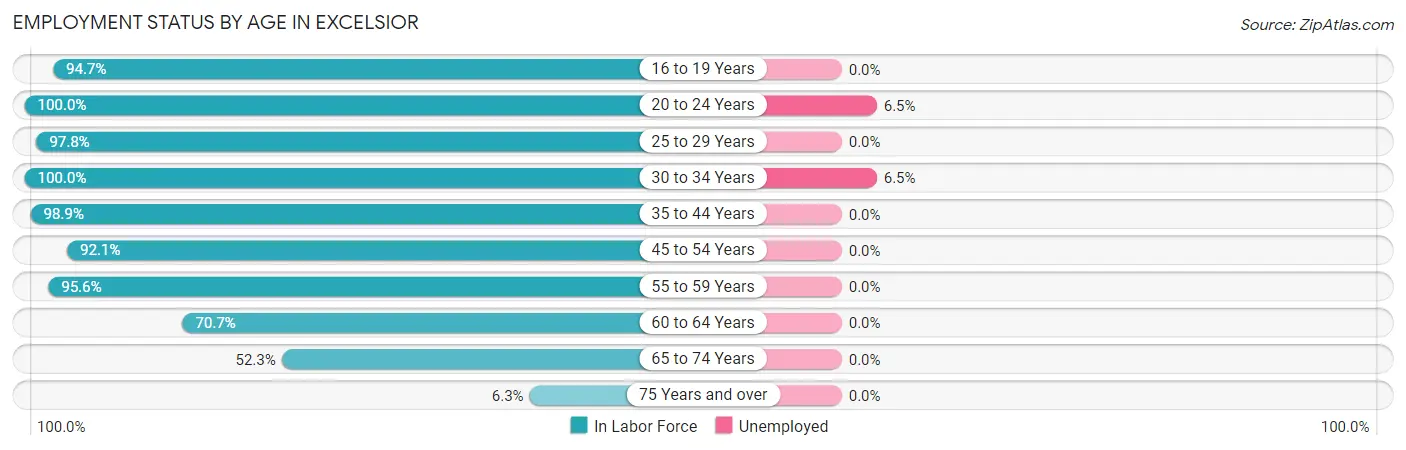 Employment Status by Age in Excelsior