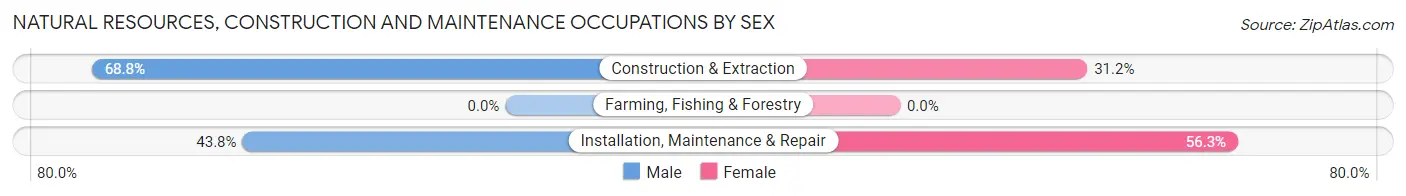 Natural Resources, Construction and Maintenance Occupations by Sex in Excelsior
