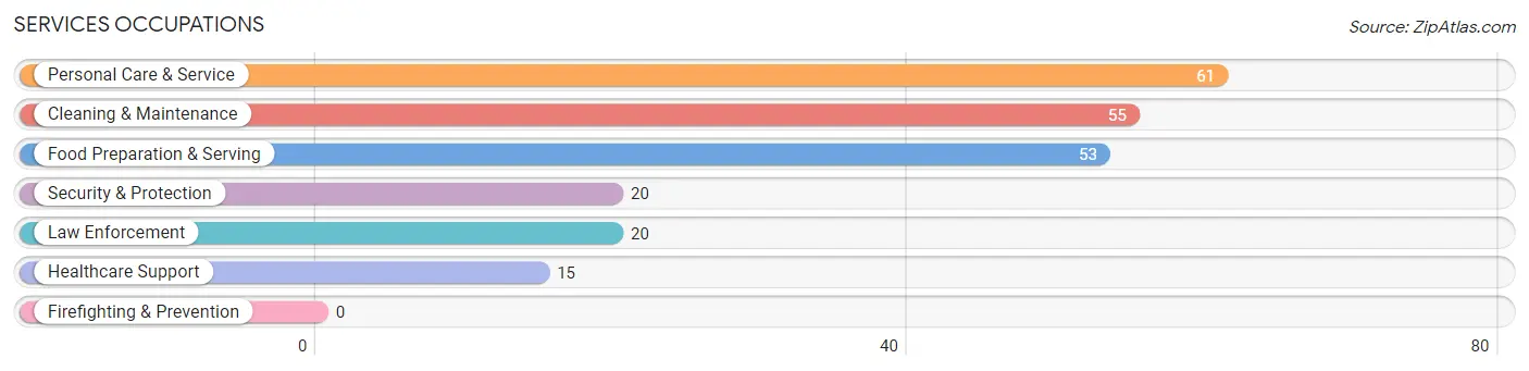 Services Occupations in Excelsior