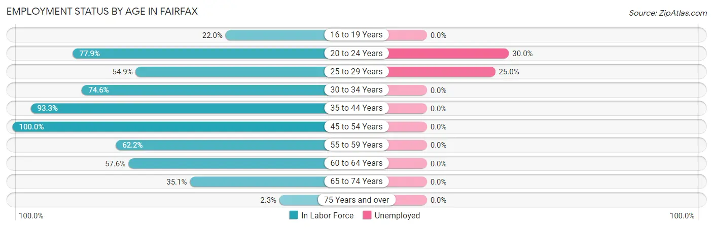 Employment Status by Age in Fairfax