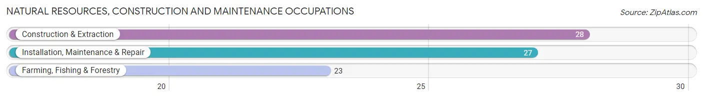 Natural Resources, Construction and Maintenance Occupations in Fairfax