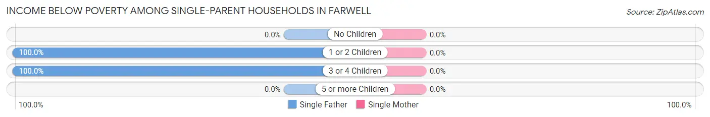 Income Below Poverty Among Single-Parent Households in Farwell