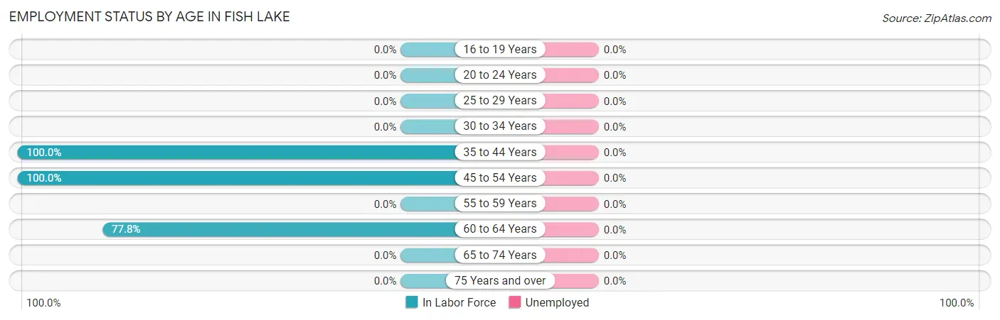 Employment Status by Age in Fish Lake