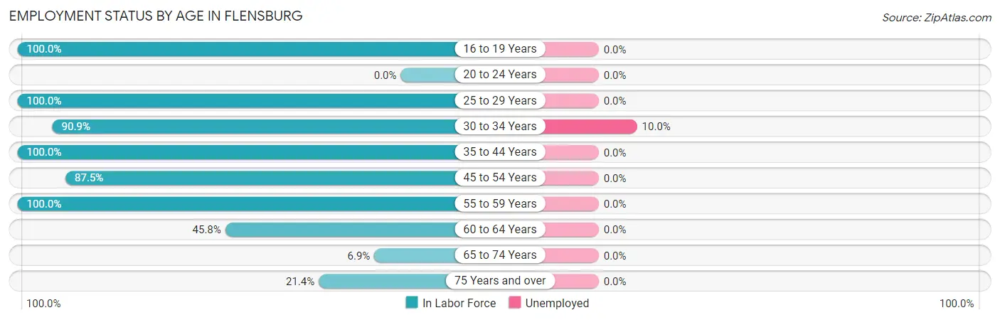 Employment Status by Age in Flensburg