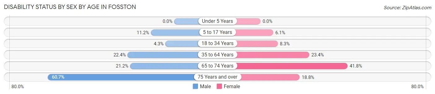 Disability Status by Sex by Age in Fosston