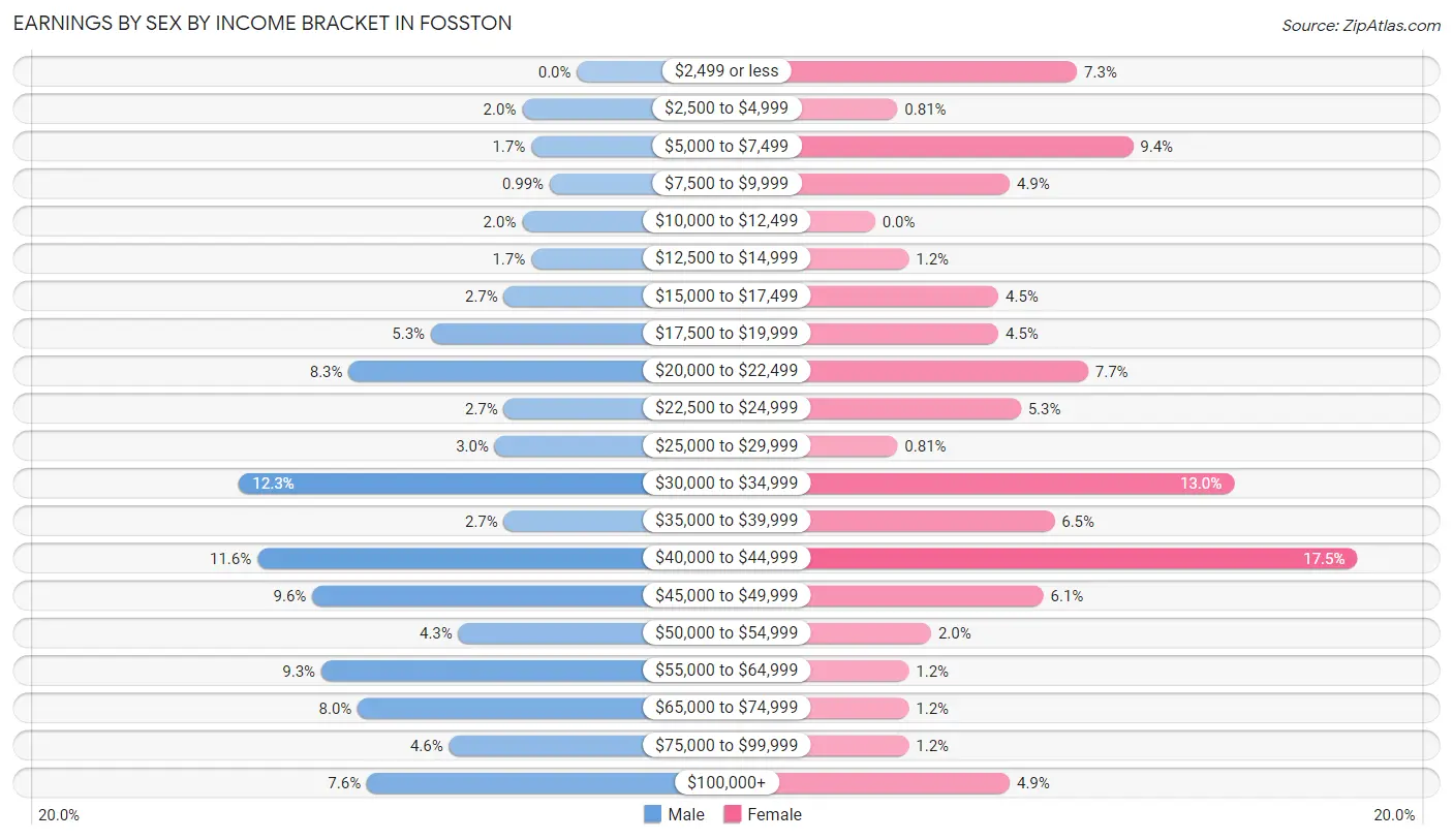 Earnings by Sex by Income Bracket in Fosston