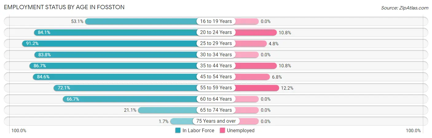 Employment Status by Age in Fosston