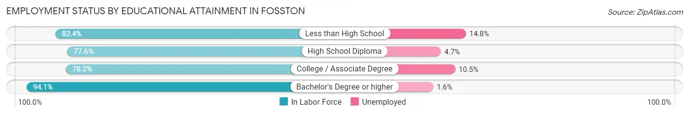 Employment Status by Educational Attainment in Fosston