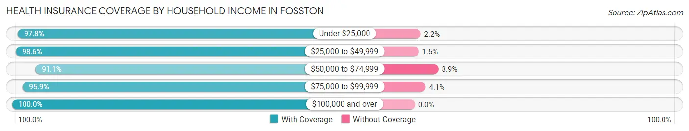 Health Insurance Coverage by Household Income in Fosston