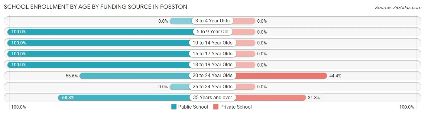 School Enrollment by Age by Funding Source in Fosston
