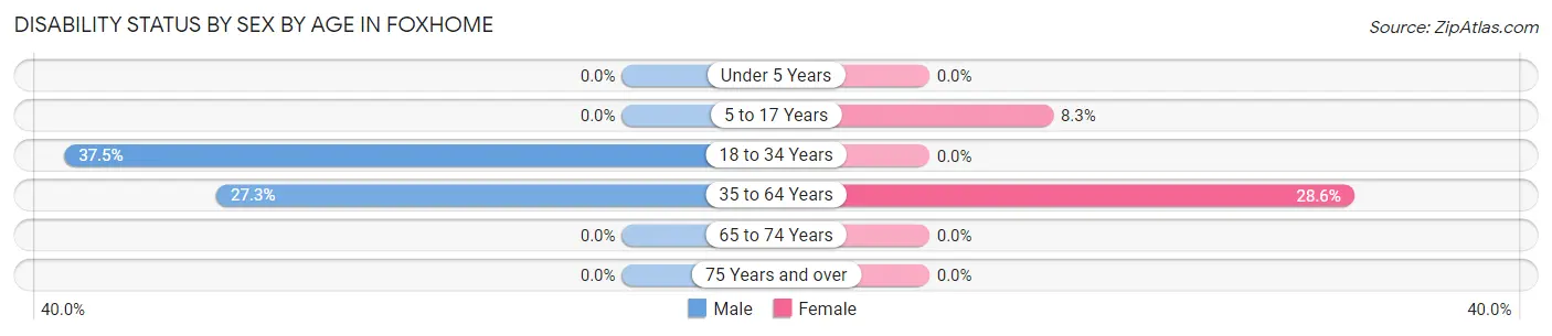 Disability Status by Sex by Age in Foxhome