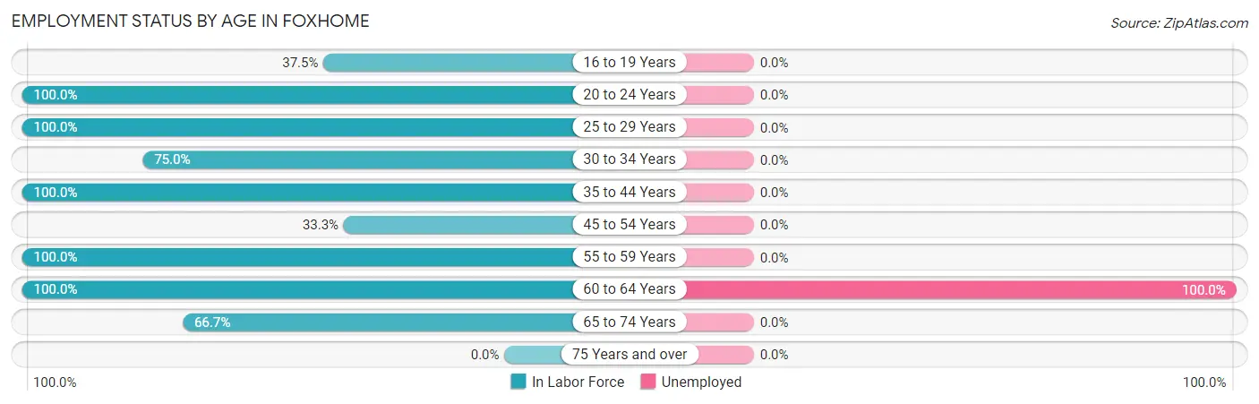 Employment Status by Age in Foxhome