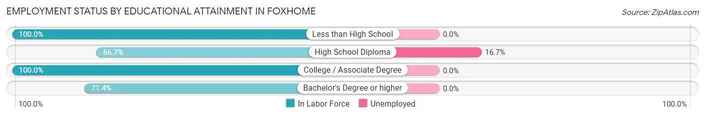 Employment Status by Educational Attainment in Foxhome