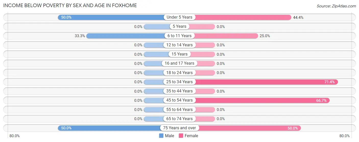 Income Below Poverty by Sex and Age in Foxhome