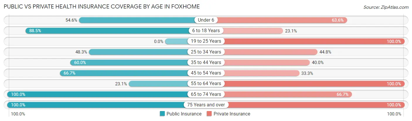 Public vs Private Health Insurance Coverage by Age in Foxhome