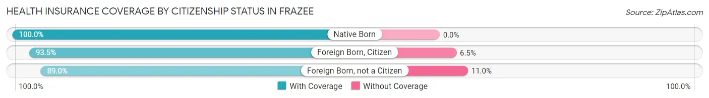 Health Insurance Coverage by Citizenship Status in Frazee