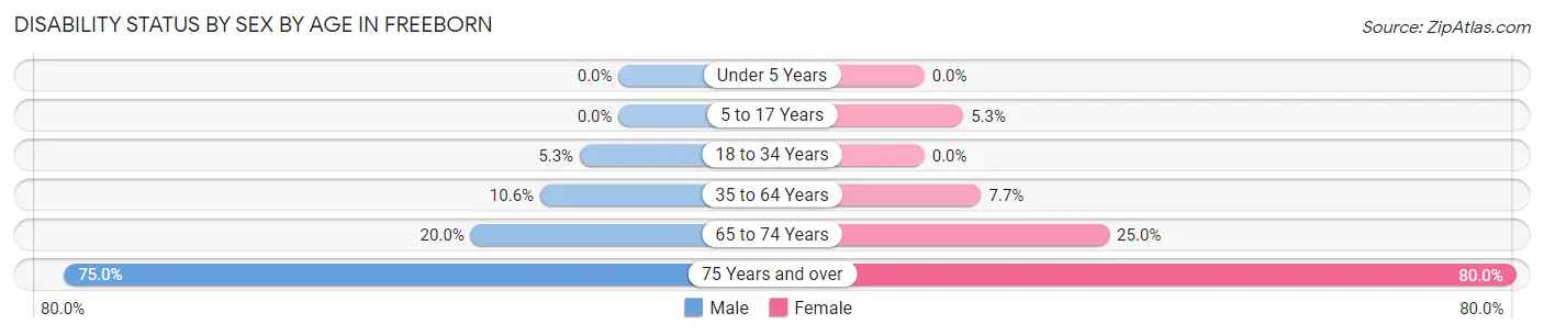Disability Status by Sex by Age in Freeborn