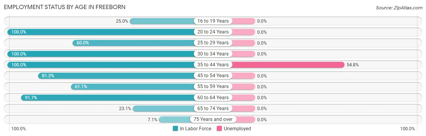Employment Status by Age in Freeborn
