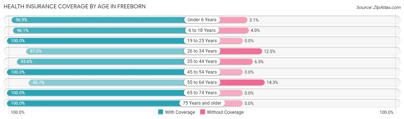Health Insurance Coverage by Age in Freeborn