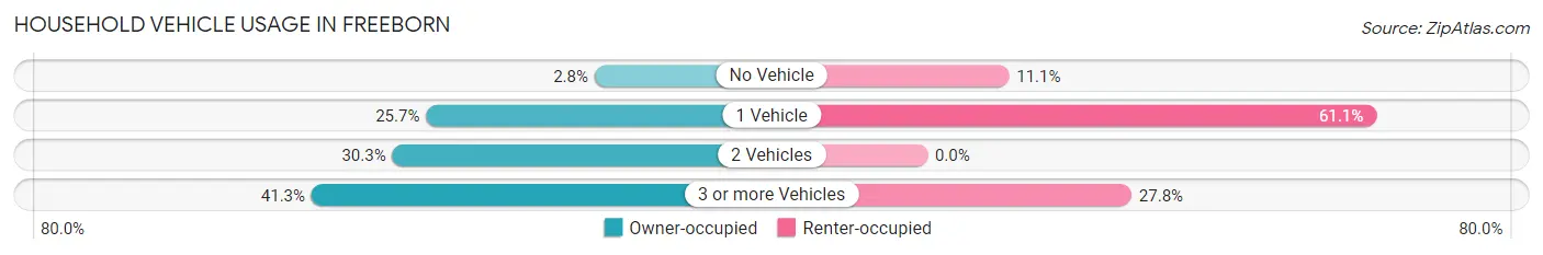 Household Vehicle Usage in Freeborn