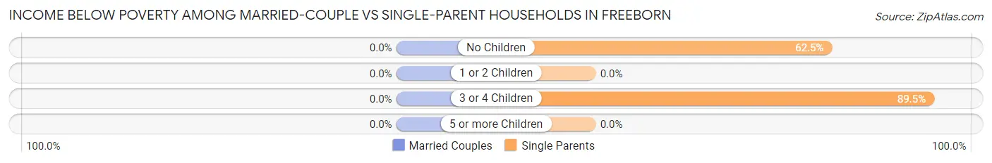 Income Below Poverty Among Married-Couple vs Single-Parent Households in Freeborn