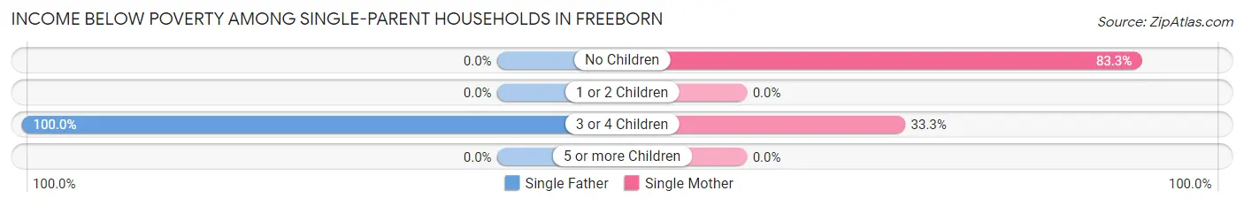 Income Below Poverty Among Single-Parent Households in Freeborn