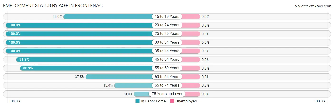 Employment Status by Age in Frontenac