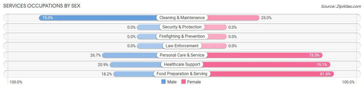 Services Occupations by Sex in Fulda