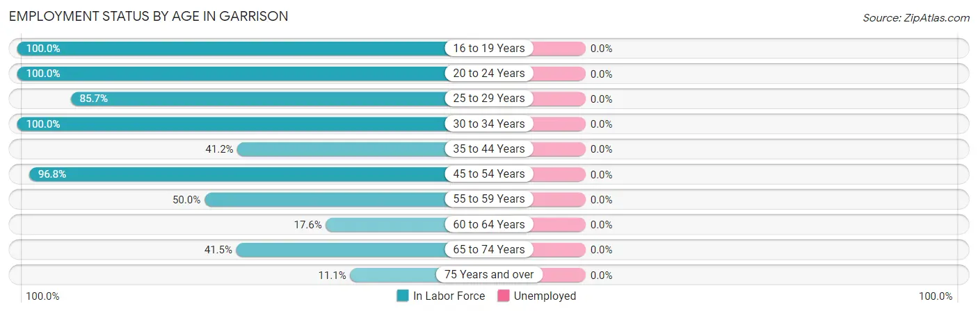 Employment Status by Age in Garrison
