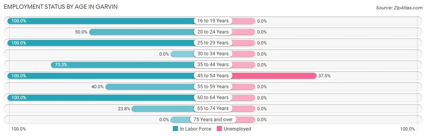 Employment Status by Age in Garvin