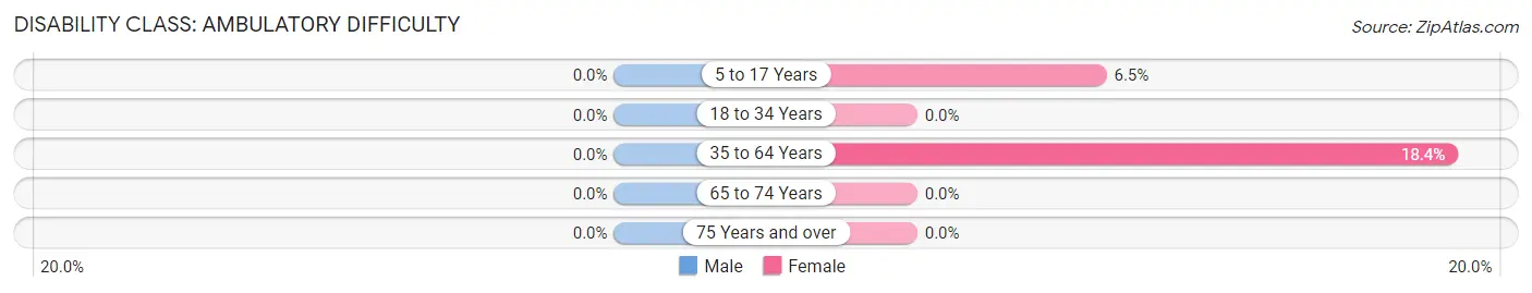 Disability in Gary: <span>Ambulatory Difficulty</span>