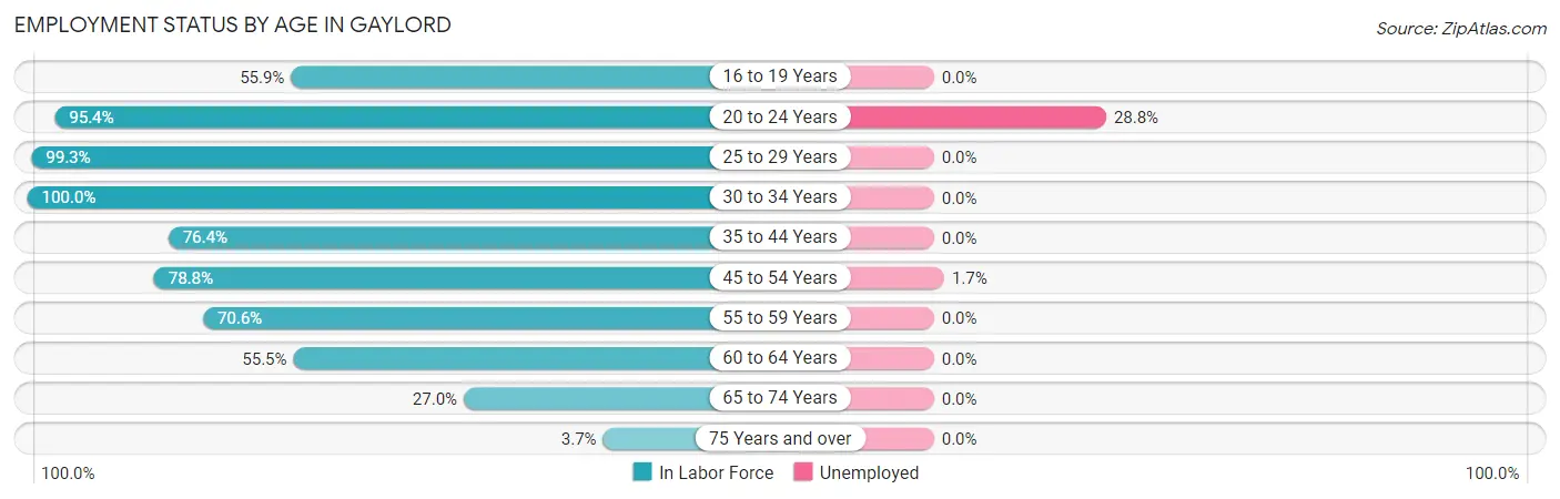 Employment Status by Age in Gaylord