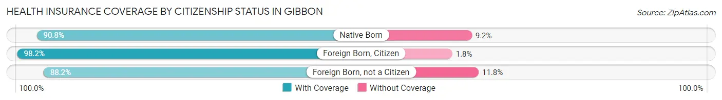 Health Insurance Coverage by Citizenship Status in Gibbon