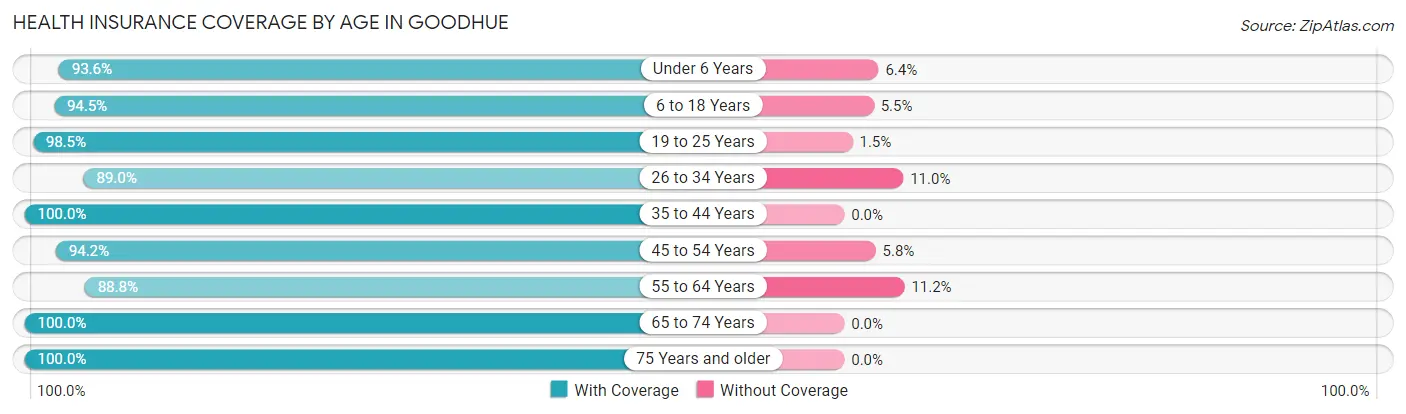 Health Insurance Coverage by Age in Goodhue