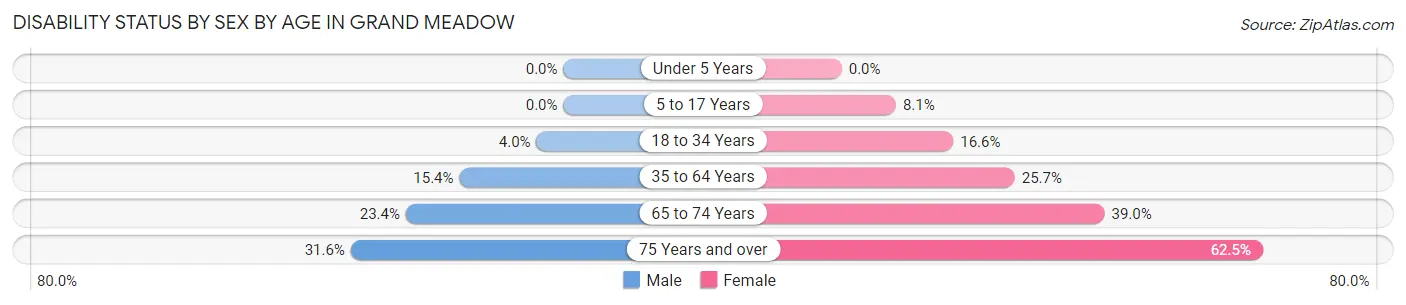 Disability Status by Sex by Age in Grand Meadow