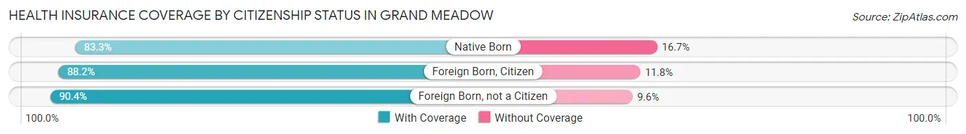 Health Insurance Coverage by Citizenship Status in Grand Meadow