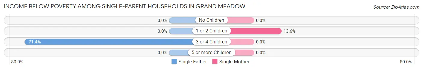 Income Below Poverty Among Single-Parent Households in Grand Meadow