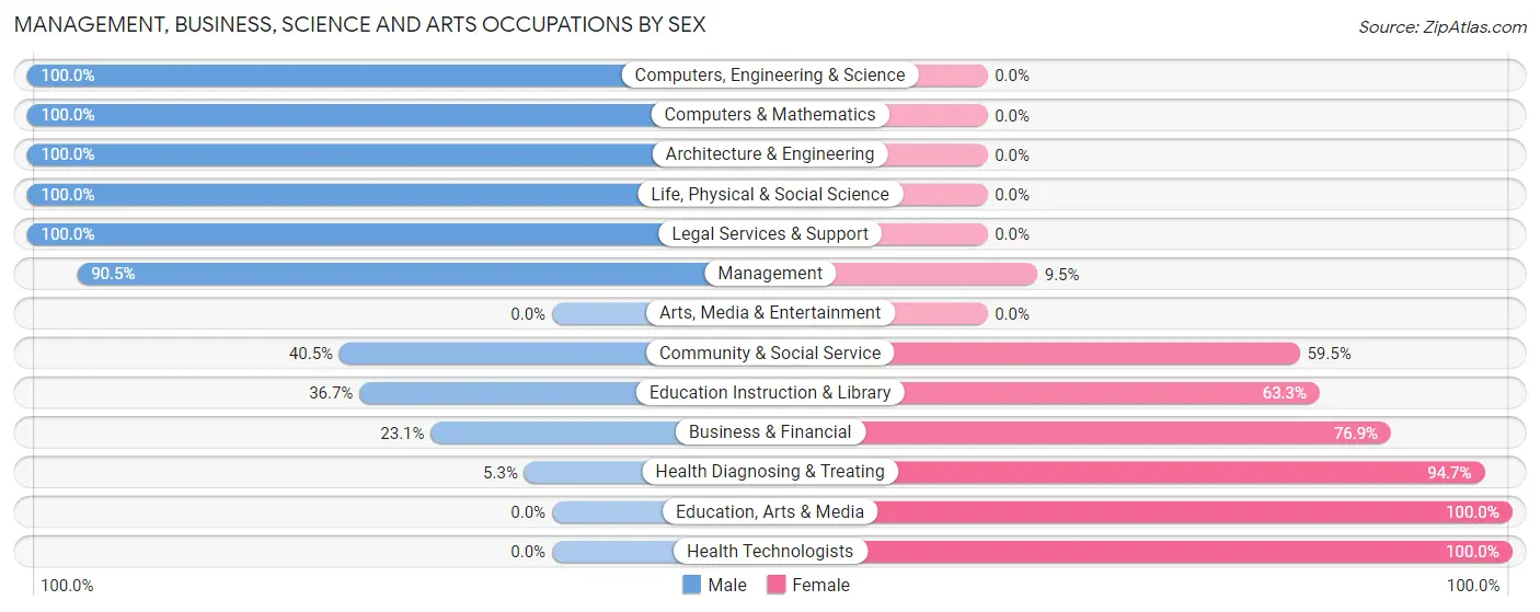 Management, Business, Science and Arts Occupations by Sex in Grand Meadow