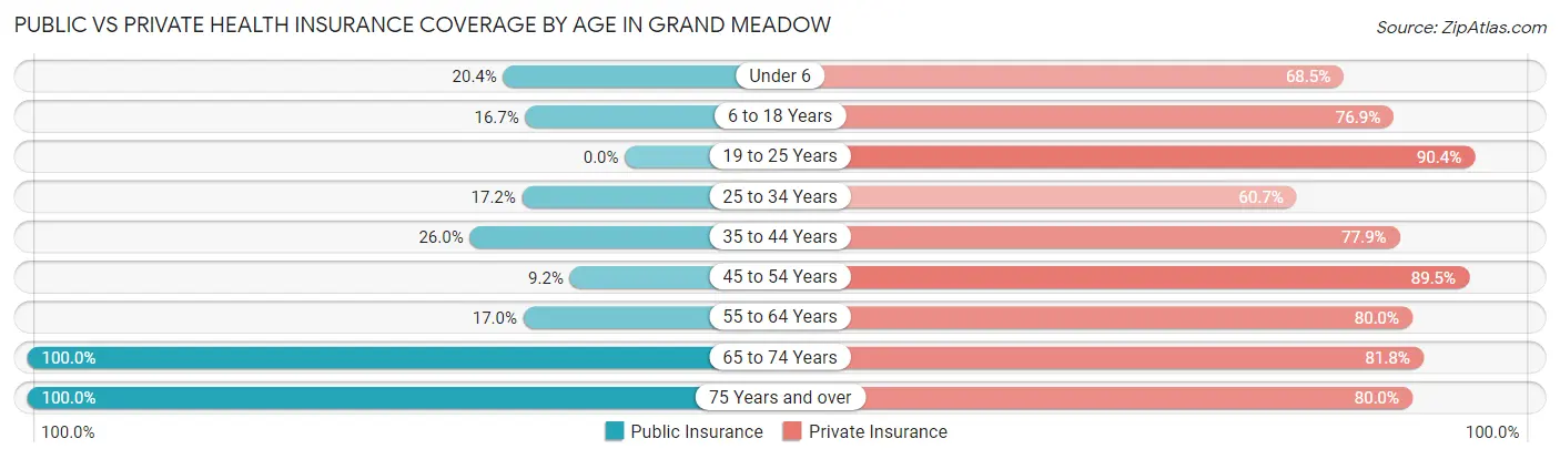 Public vs Private Health Insurance Coverage by Age in Grand Meadow