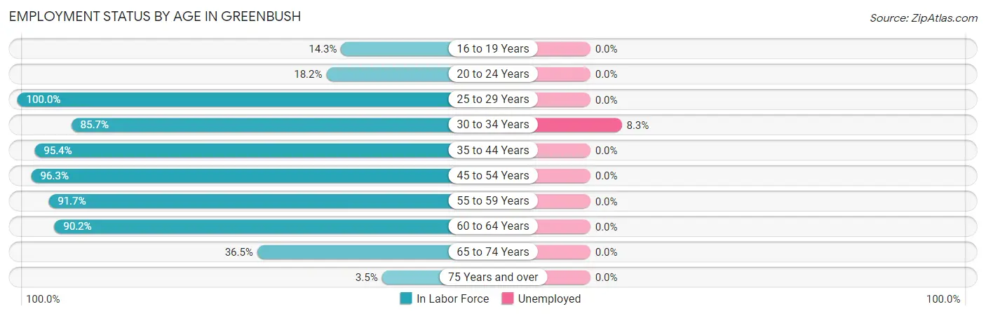 Employment Status by Age in Greenbush