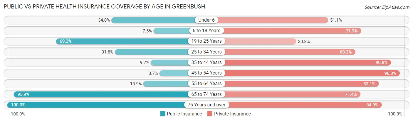 Public vs Private Health Insurance Coverage by Age in Greenbush