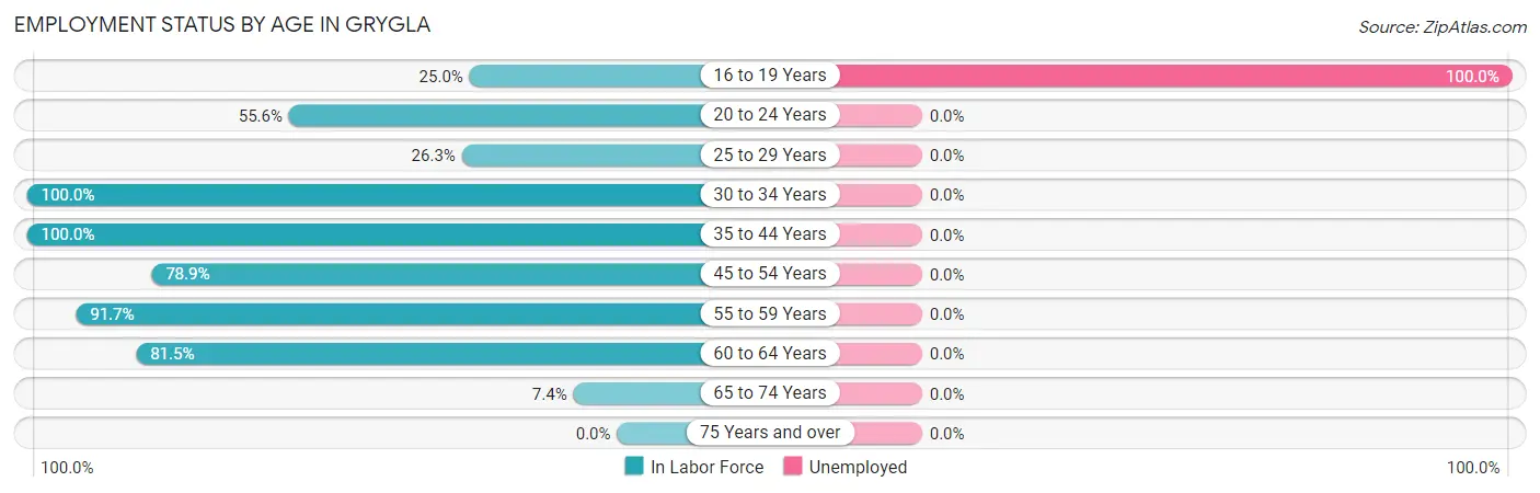 Employment Status by Age in Grygla