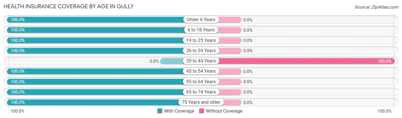 Health Insurance Coverage by Age in Gully