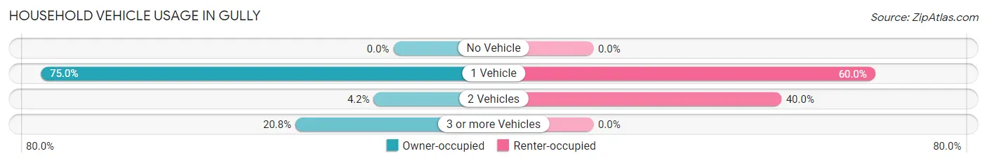 Household Vehicle Usage in Gully
