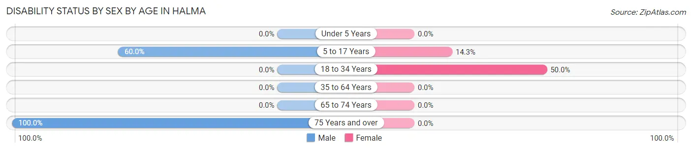 Disability Status by Sex by Age in Halma