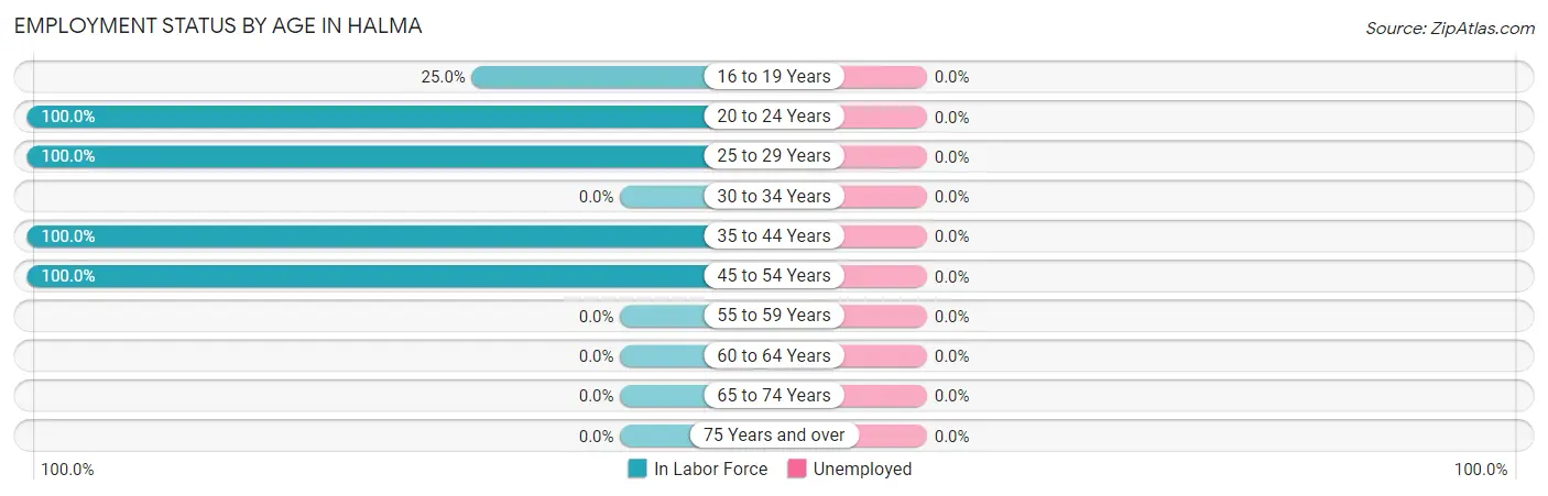 Employment Status by Age in Halma