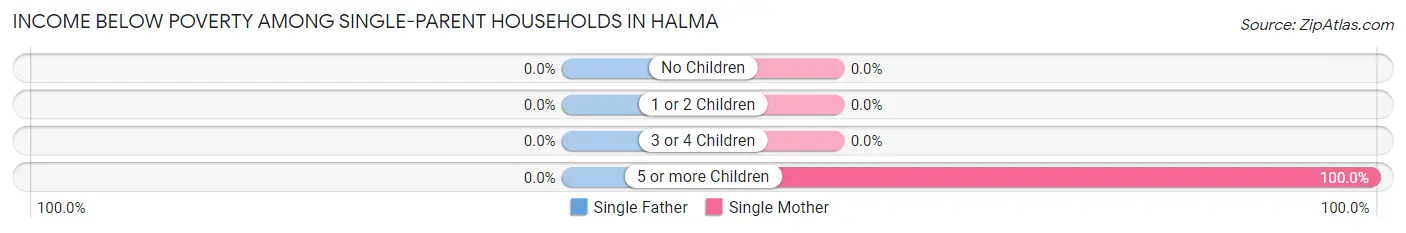 Income Below Poverty Among Single-Parent Households in Halma