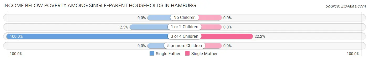 Income Below Poverty Among Single-Parent Households in Hamburg