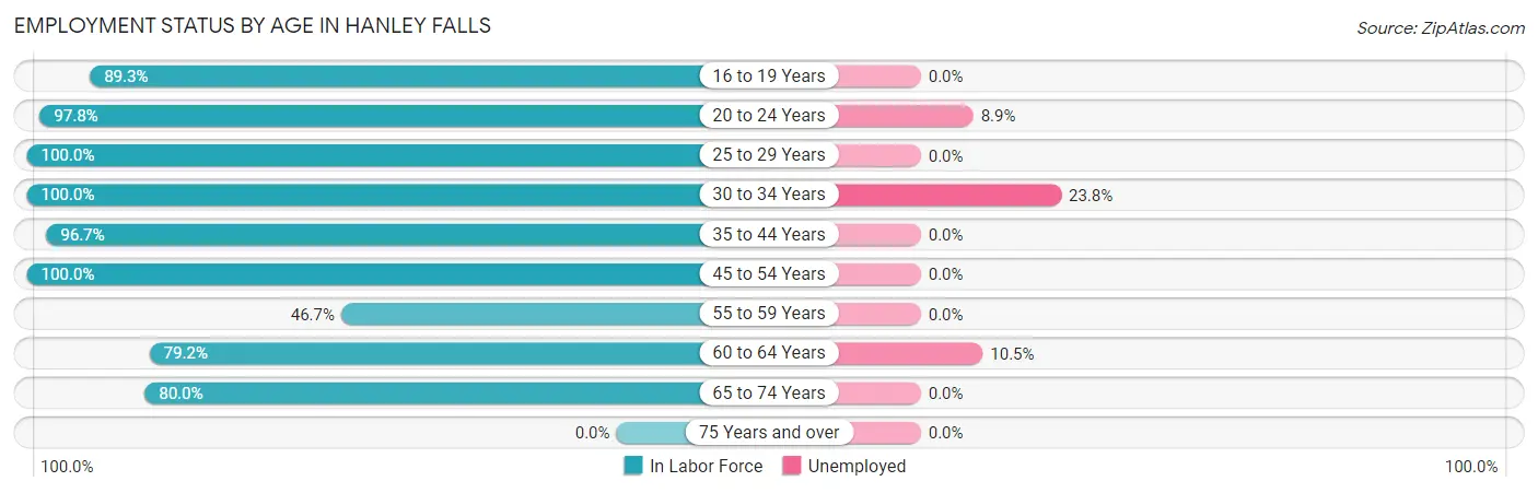 Employment Status by Age in Hanley Falls